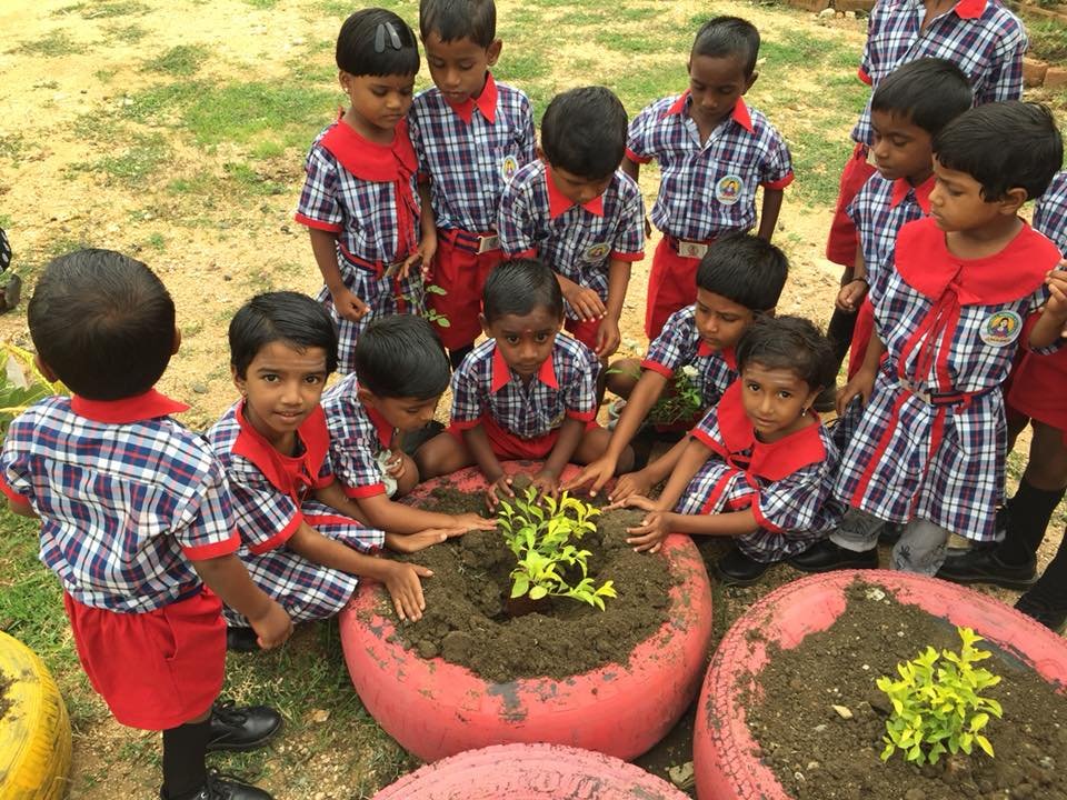 36722338 164973377535520 8954723146749968384 n