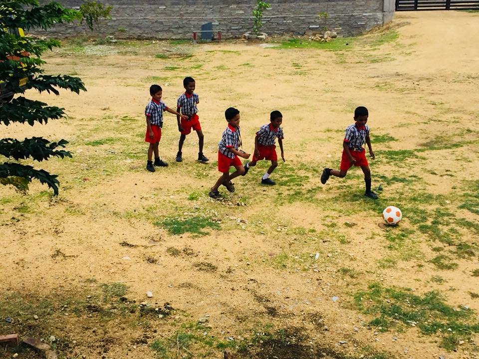 64213580 300887597277430 6451518715178516480 n 1 1.jpg